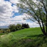 Villa Borgoregio – Foiano della Chiana