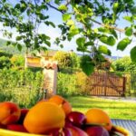 Casetta i Gelsi – Cortona