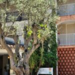 Hotel Sowell Family Port Grimaud – Grimaud