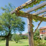 Sowell Residence Les Sablons – Le Grau Du Roy