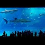 Sowell Residence Les Sablons – Le Grau Du Roy