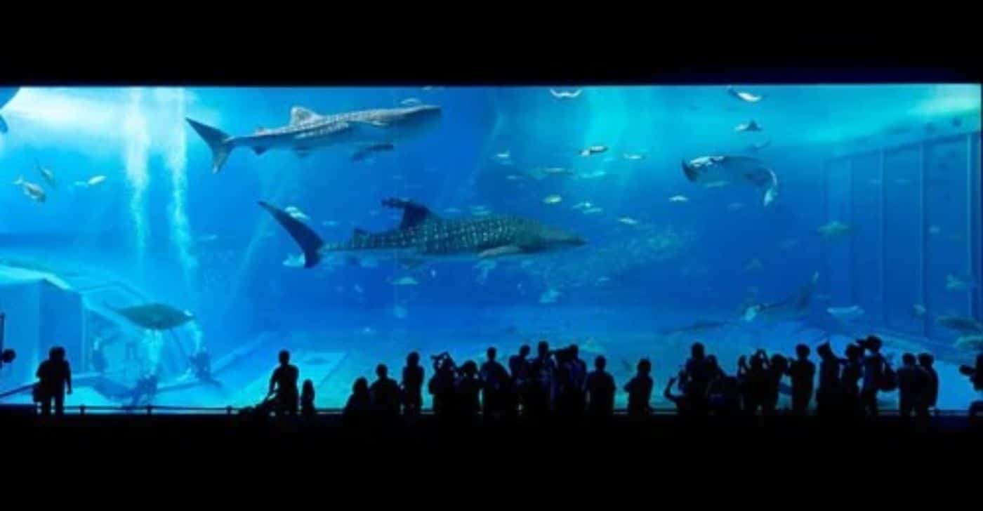 Sowell Residence Les Sablons – Le Grau Du Roy