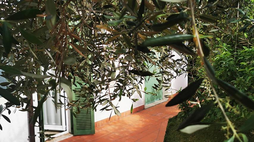 Residence dei Fiori – Pietra Ligure