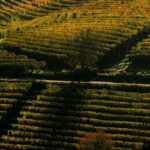 Casa di Langa – Cerretto Langhe