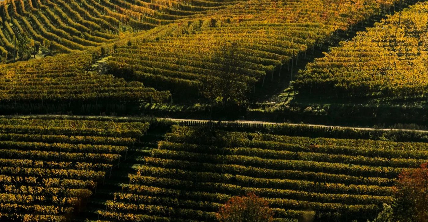 Casa di Langa – Cerretto Langhe