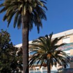 Hotel Garden Lido – Loano