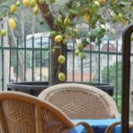 Residence dei Fiori – Pietra Ligure