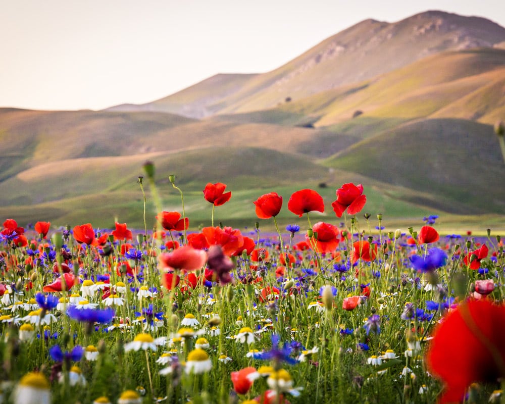 Monti-Sibillini-Umbrien-AdobeStock_87035866 Monti Sibillini i Umbrien