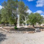 Trullo Ulivo – Galante