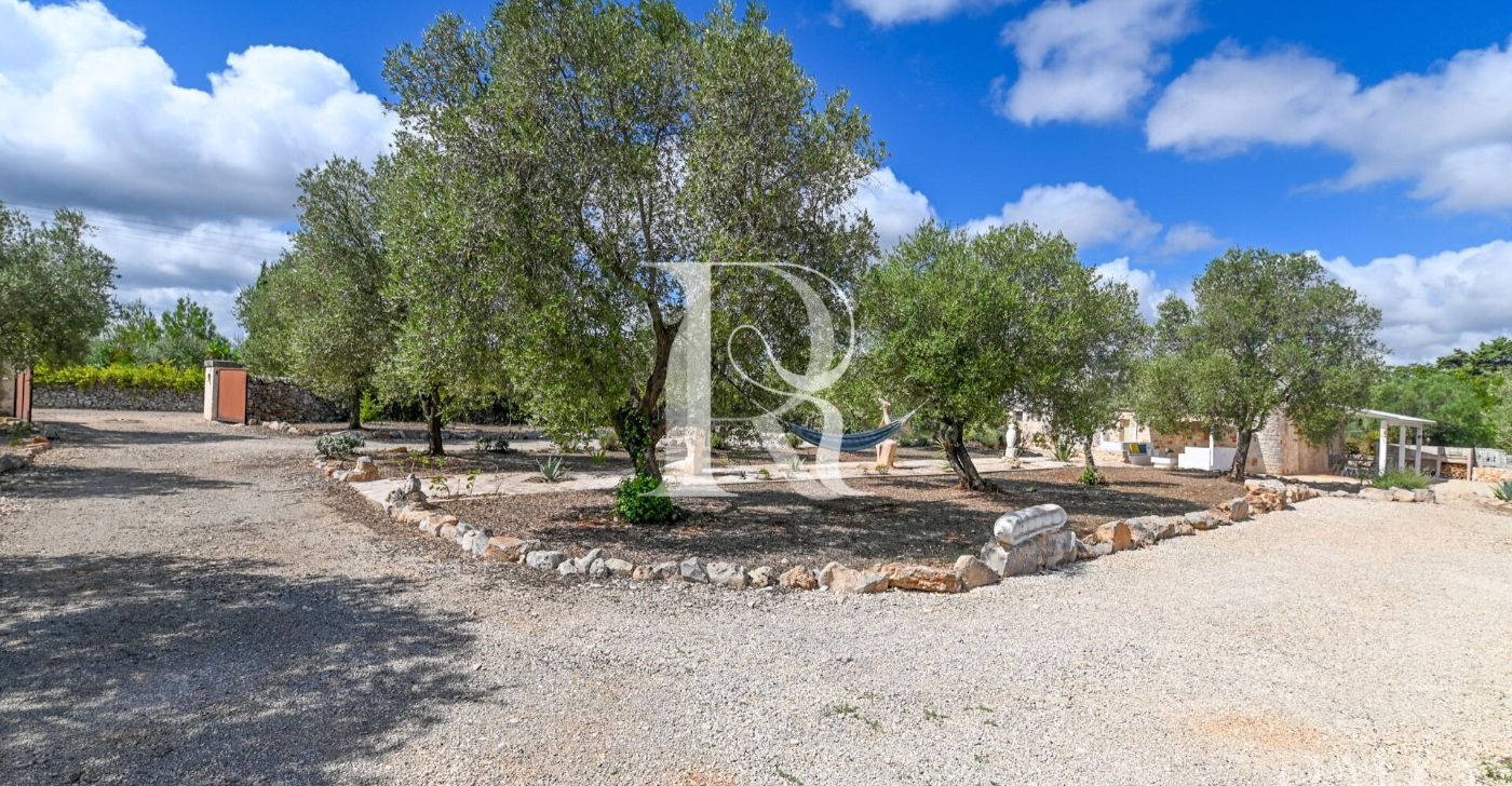 Trullo Ulivo – Galante