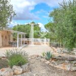 Trullo Ulivo – Galante