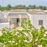 Bianco Trullo – Latiano