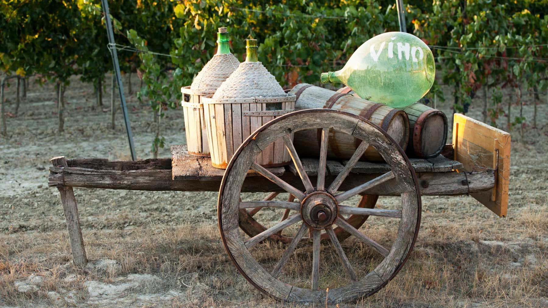 vin-italien Vingårdsferie i Italien