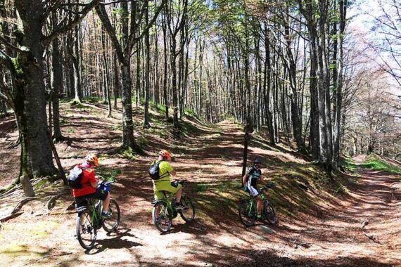 1_ebike-bosco-battilocchio 1_ebike-bosco-battilocchio