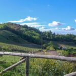 Villa Creviolo – Loazzolo